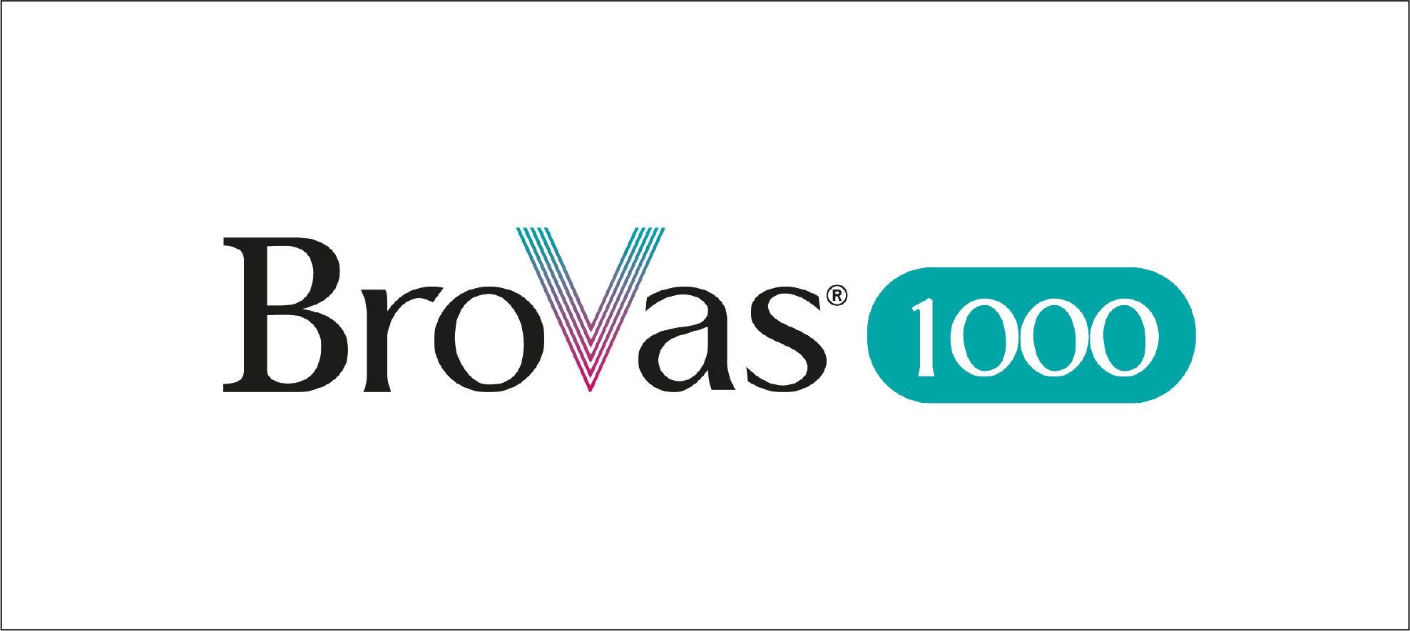 Logo borvas 1000